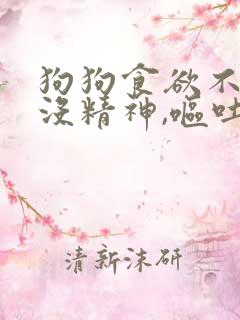 狗狗食欲不振,没精神,呕吐