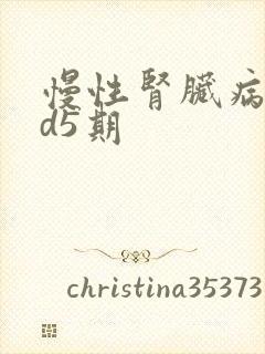 慢性肾脏病ckd5期