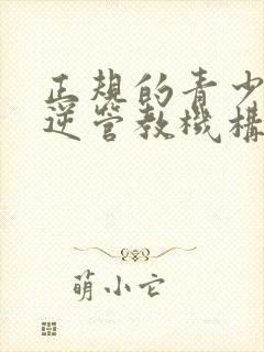 正规的青少年叛逆管教机构