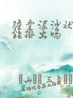 胆囊泥沙状结石能排出吗