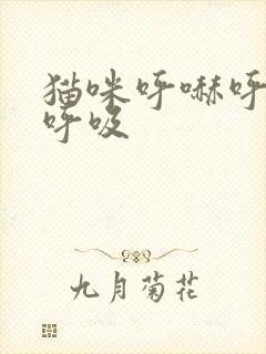 猫咪呼哧呼哧的呼吸