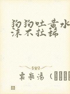 狗狗吐黄水带泡沫不拉稀