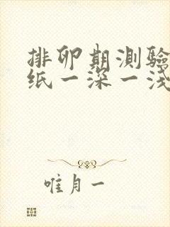 排卵期测验孕试纸一深一浅