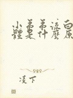 小弟弟流白色液体是什么原因