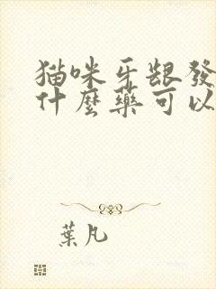 猫咪牙龈发炎吃什么药可以消炎