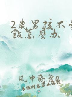 2岁男孩不爱吃饭怎么办