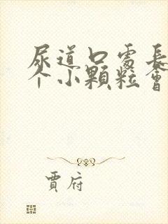 尿道口处长了两个小颗粒会痒