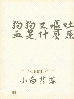 狗狗又呕吐又拉血是什么原因?