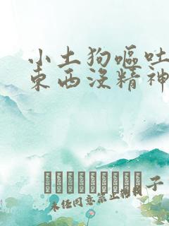 小土狗呕吐不吃东西没精神怎么办