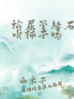 输尿管结石可以吃柿子吗