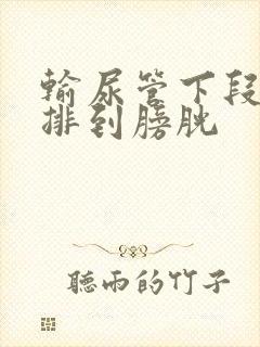 输尿管下段结石排到膀胱