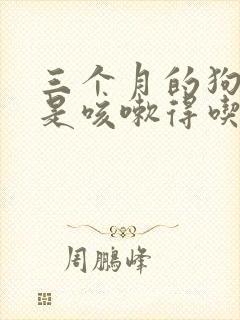 三个月的狗狗总是咳嗽得吃什么药