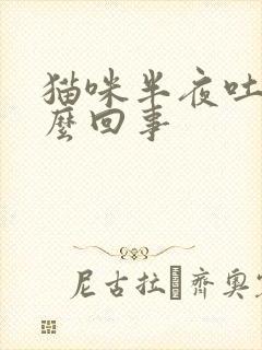 猫咪半夜吐了怎么回事