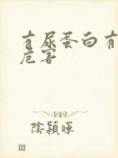 有尿蛋白有哪些危害