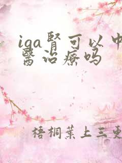 iga肾可以中医治疗吗