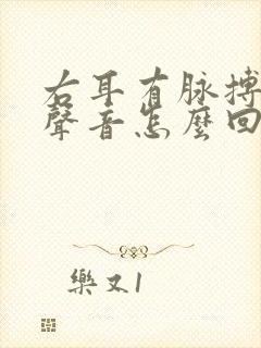 右耳有脉搏跳的声音怎么回事