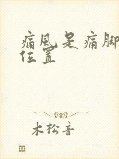 痛风是痛脚那个位置