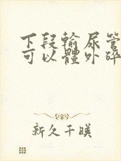 下段输尿管结石可以体外碎石吗