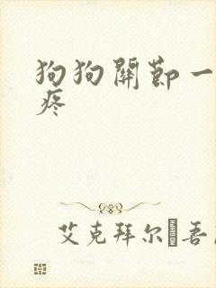 狗狗关节一按就疼