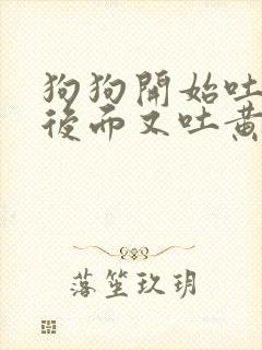 狗狗开始吐白沫后面又吐黄水咋办