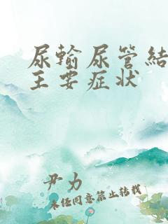 尿输尿管结石的主要症状