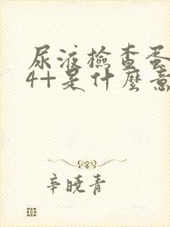 尿液检查蛋白质4+是什么意思