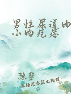 男性尿道内长有小肉疙瘩