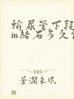 输尿管下段4mm结石多久能排出