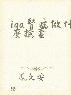 iga肾病做什么检查