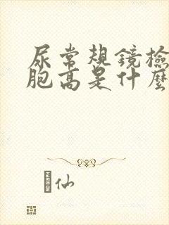 尿常规镜检白细胞高是什么原因