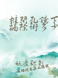 椎间孔镜下髓核摘除术多少钱