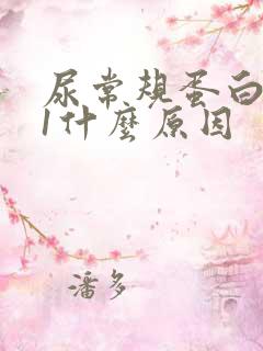 尿常规蛋白质+1什么原因