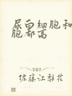 尿白细胞和红细胞都高