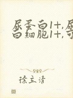 尿蛋白1+,尿白细胞1+,可能是什么问题