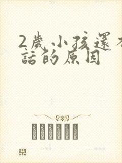 2岁小孩还不说话的原因