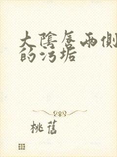 大阴唇两侧白色的污垢