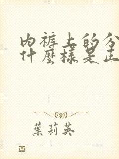 内裤上的分泌物什么样是正常的