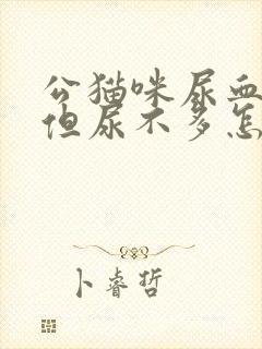 公猫咪尿血尿频但尿不多怎么办