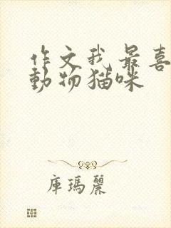 作文我最喜欢的动物猫咪