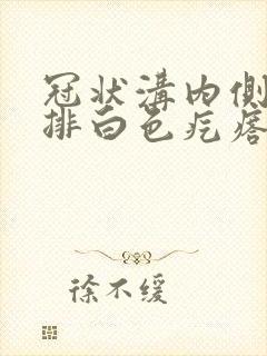 冠状沟内侧有一排白色疙瘩