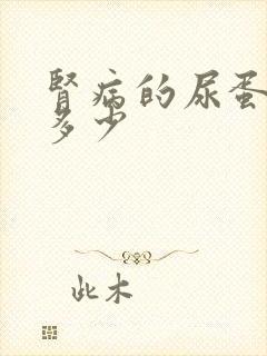 肾病的尿蛋白是多少