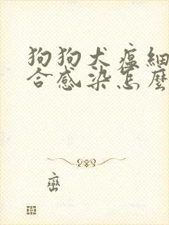 狗狗犬瘟细小混合感染怎么治