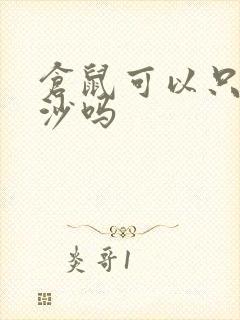 仓鼠可以只铺尿沙吗