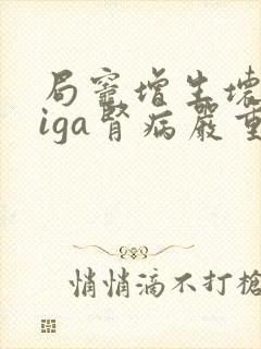 局灶增生坏死性iga肾病严重吗