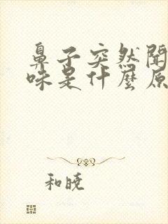 鼻子突然闻不见味是什么原因