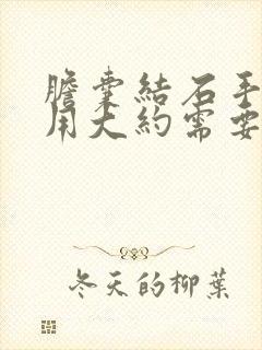 胆囊结石手术费用大约需要多少