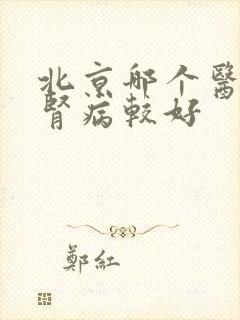 北京哪个医院看肾病较好