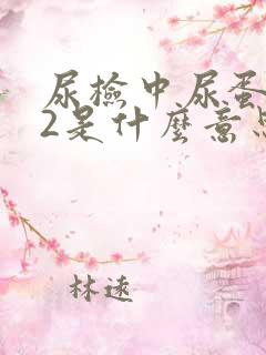 尿检中尿蛋白+2是什么意思