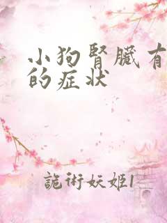 小狗肾脏有问题的症状