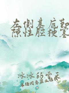 左侧基底节区腔隙性腔梗塞